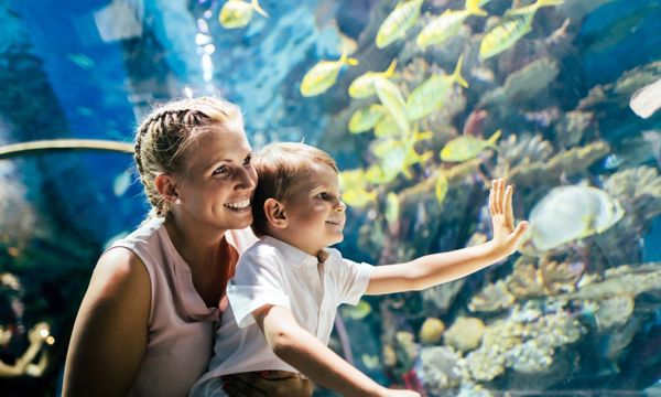 Family visiting an aquarium on a rainy day